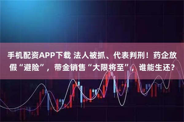 手机配资APP下载 法人被抓、代表判刑！药企放假“避险”，带金销售“大限将至”，谁能生还？
